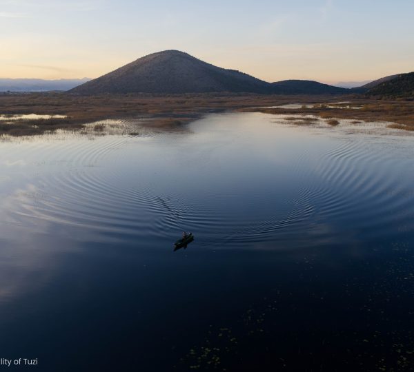 Skadarsko jezero