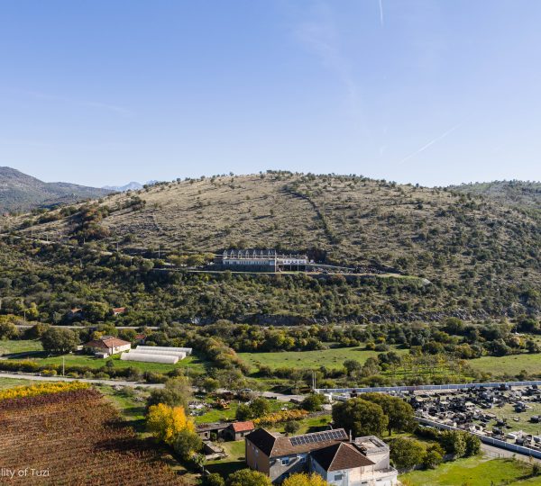 Belvedere