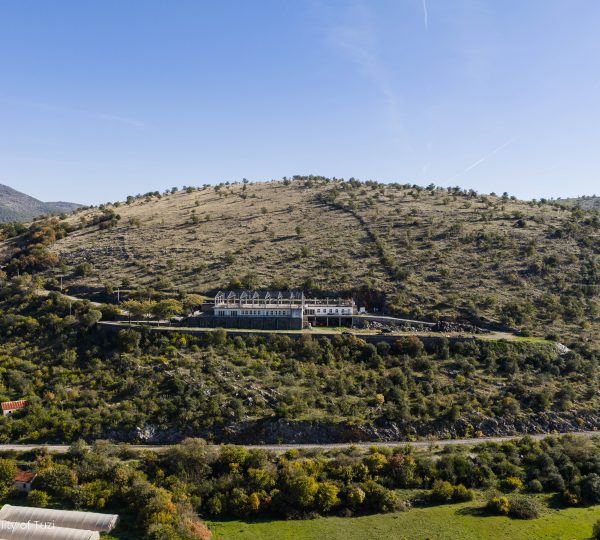 Belvedere