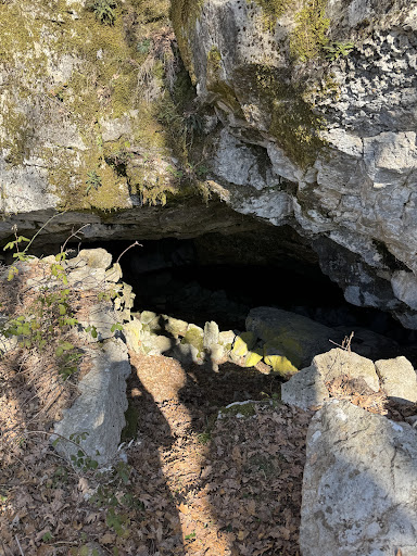 Cat Cave
