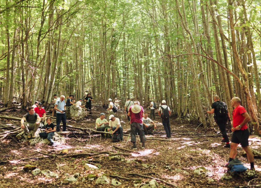 Hiking Tour to Greça: A Blend of Nature, History, and Cultural Heritage