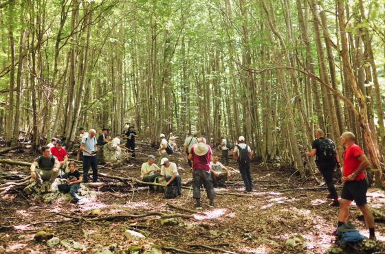 Hiking Tour to Greça: A Blend of Nature, History, and Cultural Heritage