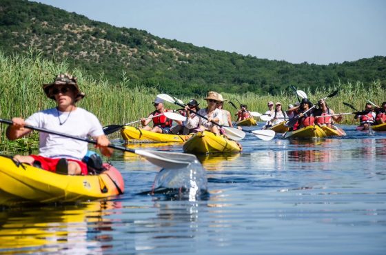 Kayaking on Lake Skadar: A Day Filled with Nature and Adventure